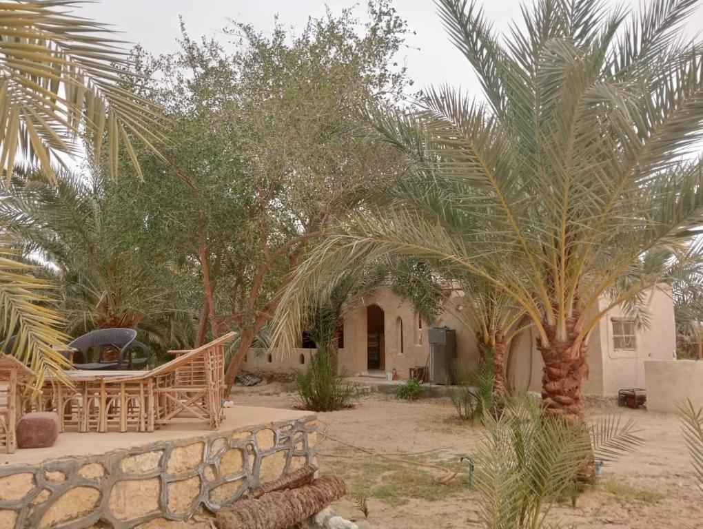 PARADISE HOSTING GROUP SIWA-APR